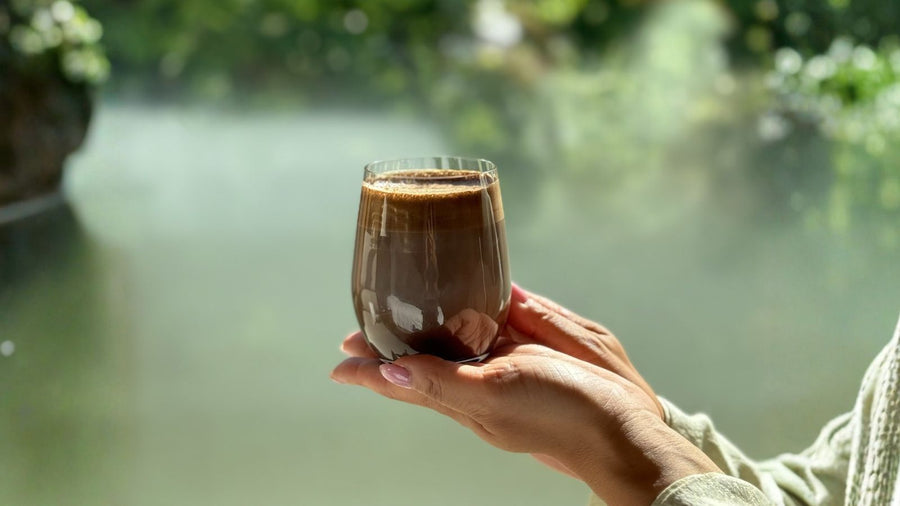 What Is Hōjicha? A Guide to Japanese Roasted Green Tea