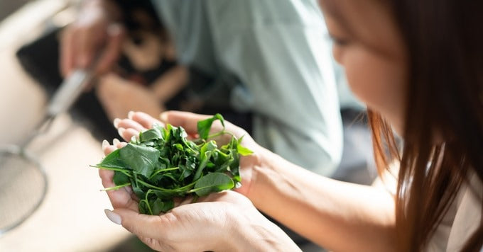 Discover Japan’s hidden tea culture 2-Day Plan