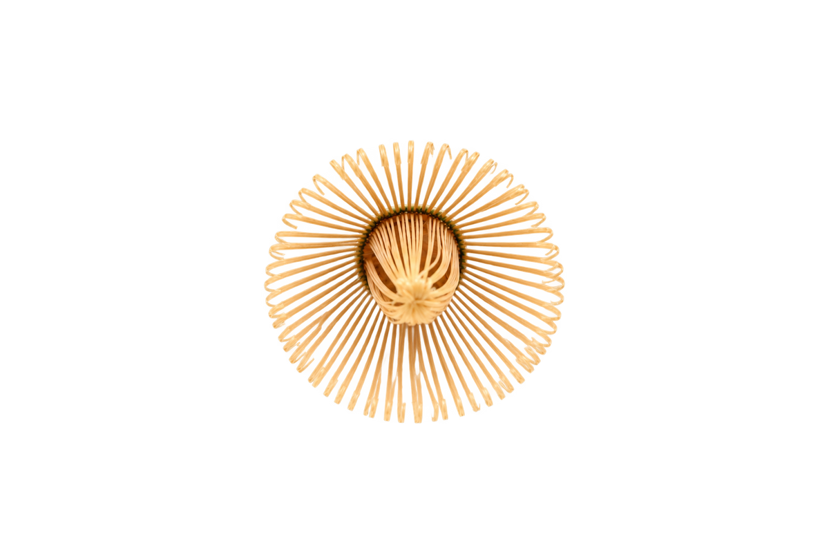 White Bamboo Matcha Whisk | Takayama Chasen