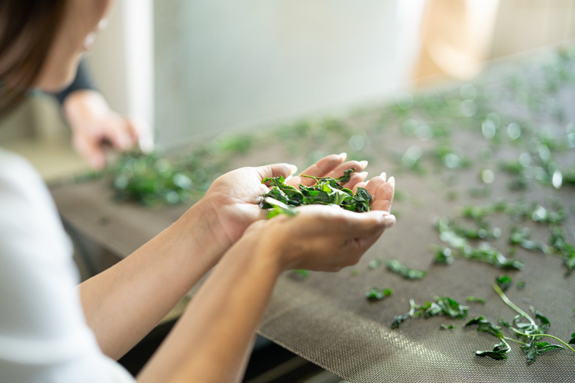 Discover Japan’s hidden tea culture 2-Day Plan