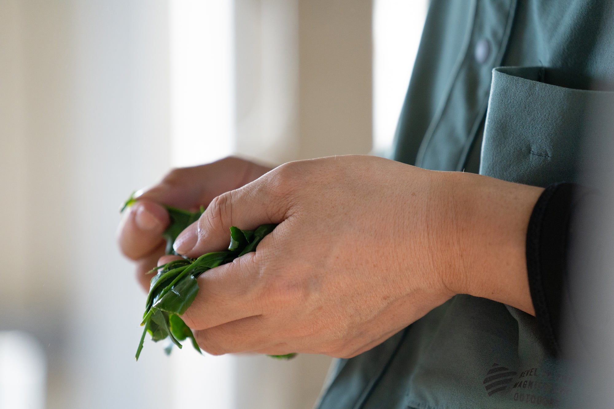 Discover Japan’s hidden tea culture 2-Day Plan