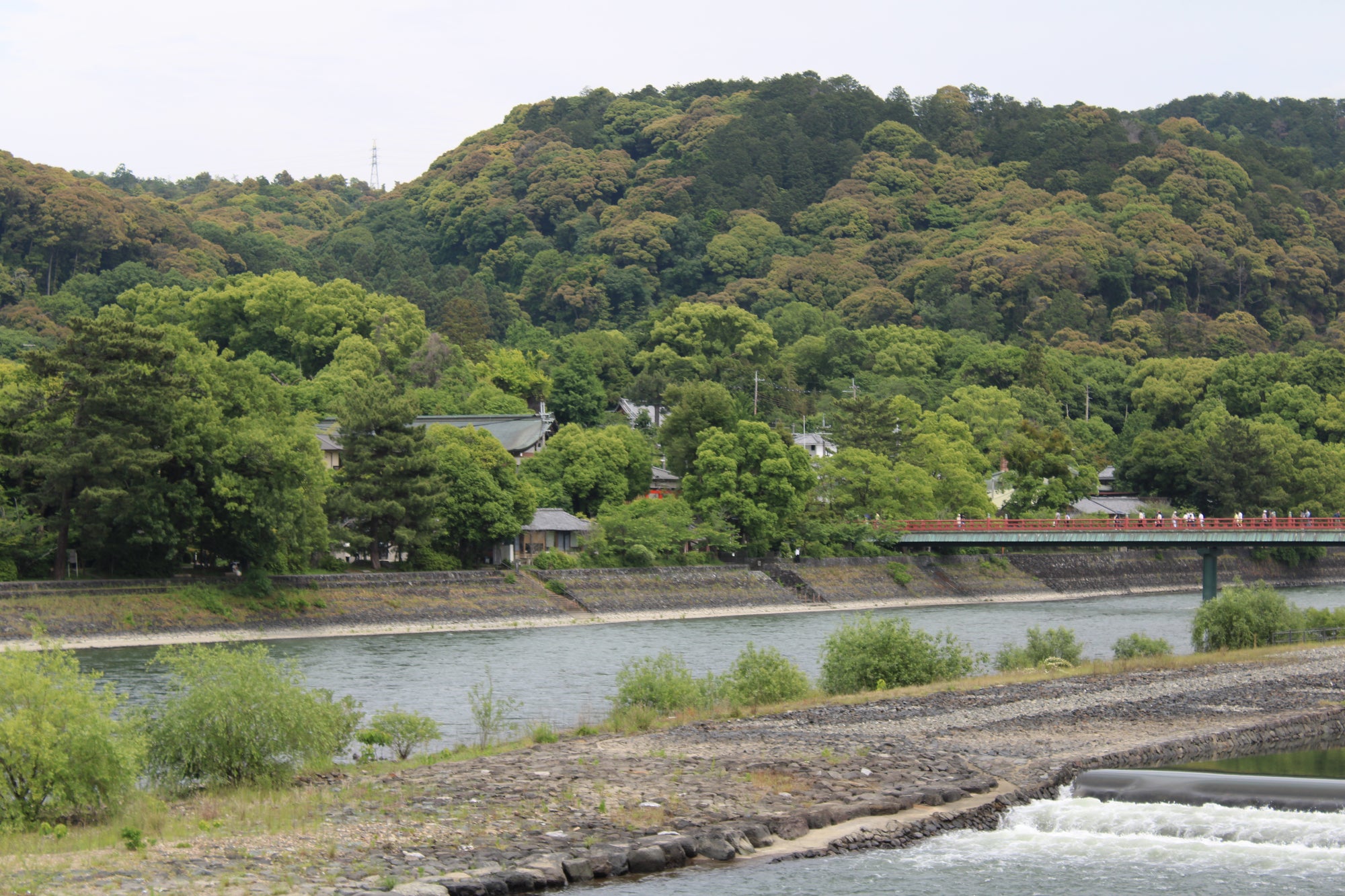 Discover Japan’s hidden tea culture 2-Day Plan
