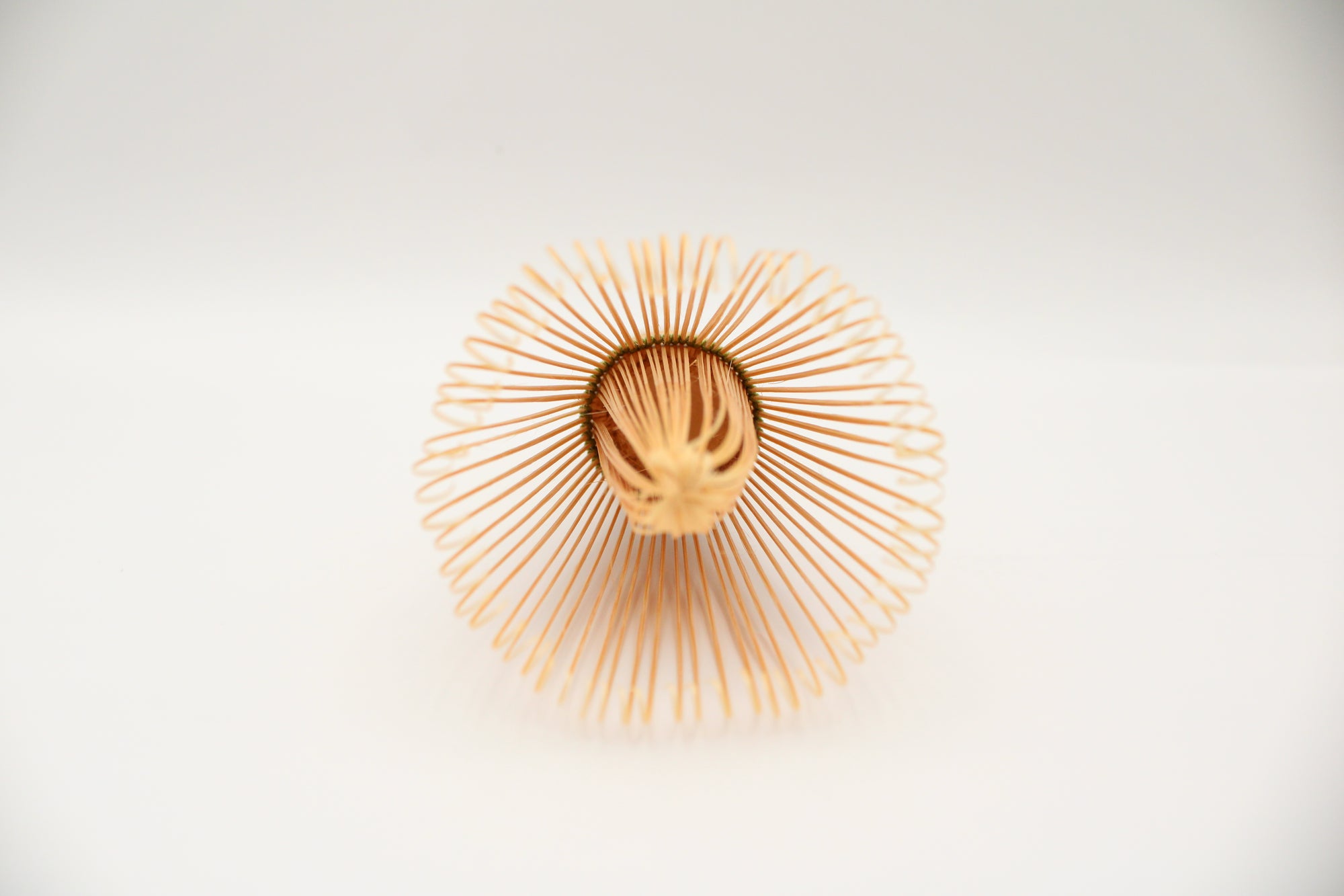 Handcrafted Bamboo Matcha Whisk 80-prong whisk– Takayama Chasen